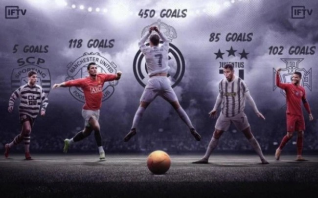 生涯的大幅 生涯的大幅